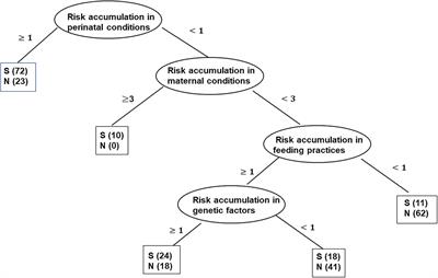 The Effect of Risk Accumulation on Childhood Stunting: A Matched Case-Control Study in China